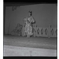 登錄號:KH2002.017.0006藏品圖，第8張