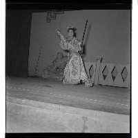 登錄號:KH2002.017.0006藏品圖，第11張