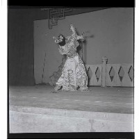 登錄號:KH2002.017.0006藏品圖，第12張