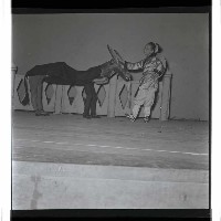 登錄號:KH2002.017.0006藏品圖，第23張