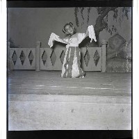 登錄號:KH2002.017.0006藏品圖，第30張