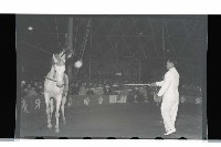 登錄號:KH2002.017.0009藏品圖，第12張