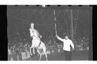 登錄號:KH2002.017.0010藏品圖，第5張