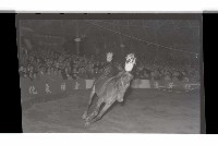 登錄號:KH2002.017.0011藏品圖，第9張