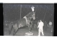 登錄號:KH2002.017.0011藏品圖，第10張