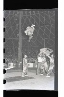 登錄號:KH2002.017.0012藏品圖，第5張