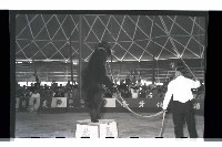 登錄號:KH2002.017.0013藏品圖，第6張