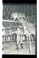 登錄號:KH2002.017.0013藏品圖，第8張