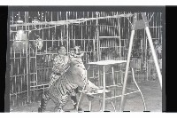 登錄號:KH2002.017.0013藏品圖，第9張