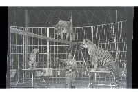 登錄號:KH2002.017.0013藏品圖，第10張