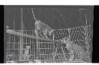 登錄號:KH2002.017.0013藏品圖，第11張