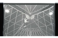 登錄號:KH2002.017.0014藏品圖，第3張