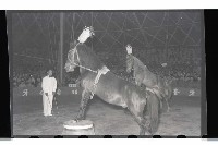 登錄號:KH2002.017.0015藏品圖，第11張