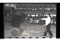 登錄號:KH2002.017.0015藏品圖，第13張