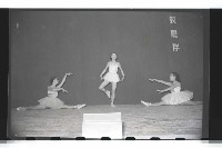 登錄號:KH2002.017.0020藏品圖，第18張