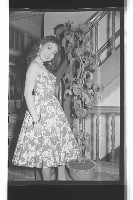 登錄號:KH2002.017.0025藏品圖，第27張