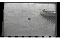 登錄號:KH2002.017.0028藏品圖，第32張