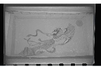 登錄號:KH2002.017.0035藏品圖，第35張