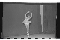 登錄號:KH2002.017.0036藏品圖，第4張