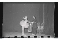 登錄號:KH2002.017.0036藏品圖，第20張