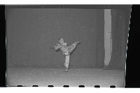 登錄號:KH2002.017.0036藏品圖，第28張