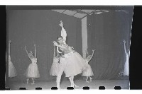 登錄號:KH2002.017.0036藏品圖，第40張