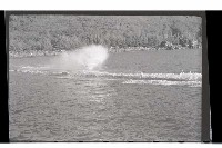 登錄號:KH2002.017.0037藏品圖，第14張