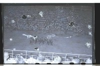 登錄號:KH2002.017.0045藏品圖，第5張