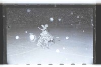 登錄號:KH2002.017.0046藏品圖，第4張