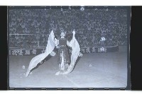 登錄號:KH2002.017.0049藏品圖，第1張