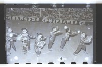 登錄號:KH2002.017.0049藏品圖，第3張