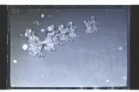 登錄號:KH2002.017.0049藏品圖，第13張