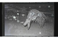 登錄號:KH2002.017.0051藏品圖，第1張