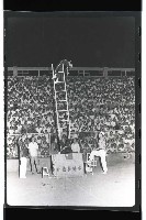 登錄號:KH2002.017.0074藏品圖，第37張