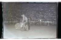 登錄號:KH2002.017.0075藏品圖，第20張