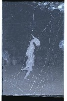 登錄號:KH2002.017.0080藏品圖，第16張