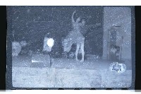 登錄號:KH2002.017.0083藏品圖，第16張