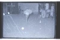 登錄號:KH2002.017.0083藏品圖，第25張