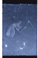 登錄號:KH2002.017.0091藏品圖，第20張