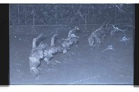 登錄號:KH2002.017.0092藏品圖，第9張