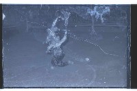 登錄號:KH2002.017.0093藏品圖，第16張