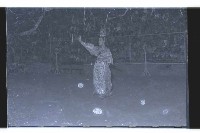 登錄號:KH2002.017.0093藏品圖，第17張