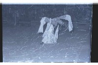 登錄號:KH2002.017.0093藏品圖，第22張