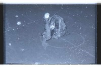 登錄號:KH2002.017.0094藏品圖，第9張