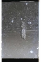 登錄號:KH2002.017.0095藏品圖，第3張