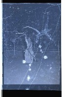 登錄號:KH2002.017.0095藏品圖，第10張