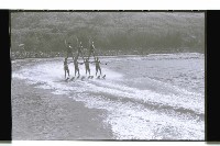 登錄號:KH2002.017.0128藏品圖，第1張