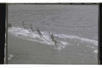 登錄號:KH2002.017.0128藏品圖，第19張