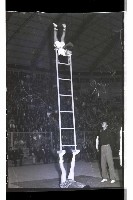 登錄號:KH2002.017.0132藏品圖，第19張