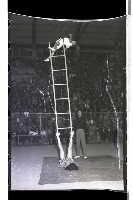 登錄號:KH2002.017.0132藏品圖，第23張